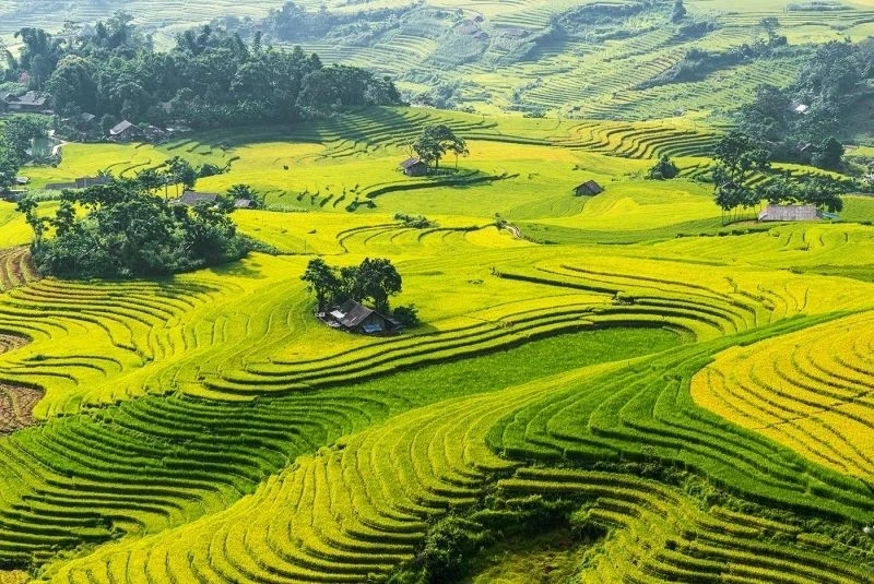 Ảnh avatar phong cảnh giúp bạn tạo không gian thư giãn và dễ mến