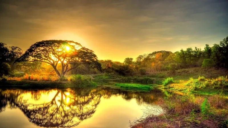 Cảnh đẹp thiên nhiên 4k là hình nền tuyệt vời cho không gian của bạn