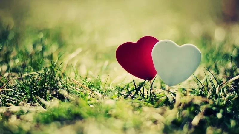 Hình ảnh trái tim tan vỡ mang đến cảm giác buồn và tiếc nuối