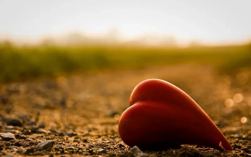 Hình ảnh đẹp về trái tim tan vỡ là sự kết hợp giữa sự buồn và nghệ thuật