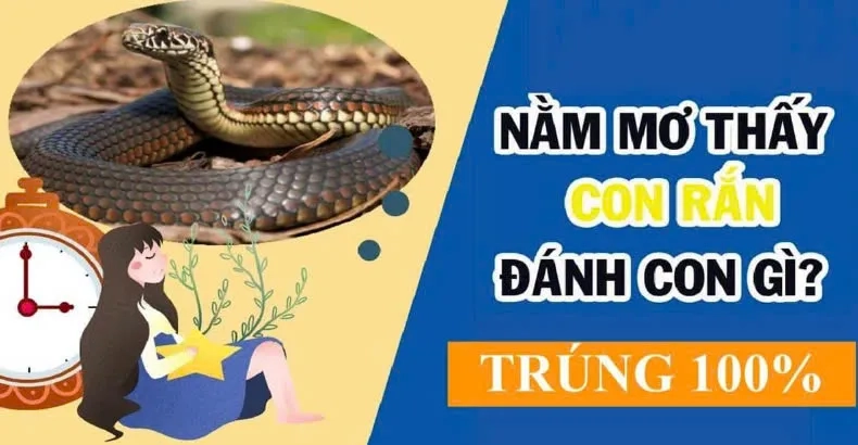 Ý Nghĩa Của Giấc Mơ Thấy Rắn Cắn 