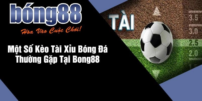 Luật Chơi Tài Xỉu Bong88 Dễ Hiểu Cho Tân Thủ