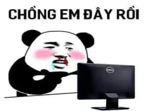 Tổng hợp bộ ảnh gấu trúc meme vui nhộn giúp bạn giải trí và thư giãn