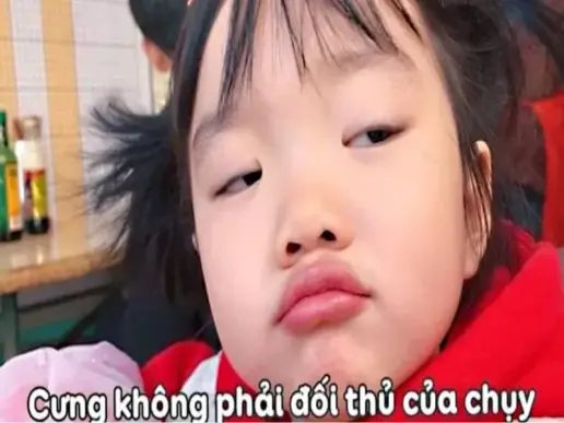 Tổng hợp 88+ hình ảnh meme funny thú vị, vui nhộn và ấn tượng nhất