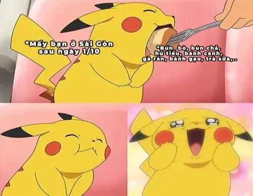 Xem ngay bộ ảnh Pikachu meme hài hước, đáng yêu giúp bạn thư giãn