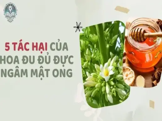 Tác hại của hoa đu đủ đực ngâm mật ong