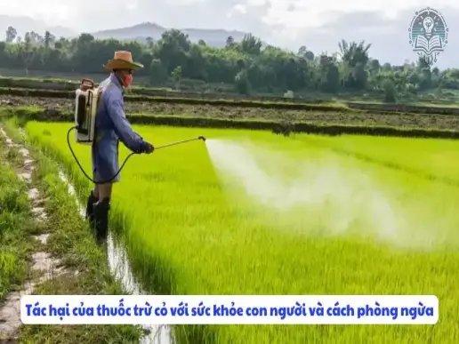 Tác hại của thuốc trừ cỏ với con người và môi trường