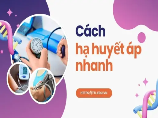 Cách hạ huyết áp nhanh ngay lập tức - Bí quyết dễ thực hiện