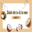 Cách làm mứt dừa non dẻo thơm, ngọt thanh chuẩn vị Tết