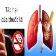 Tác hại của thuốc lá khiến bạn phải suy ngẫm về sức khỏe