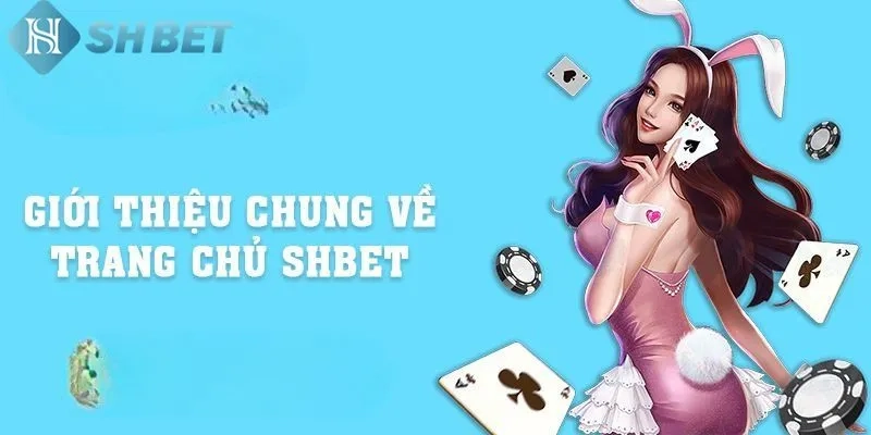 Shbet đã và đang khẳng định vị thế hàng đầu trong lĩnh vực cá cược