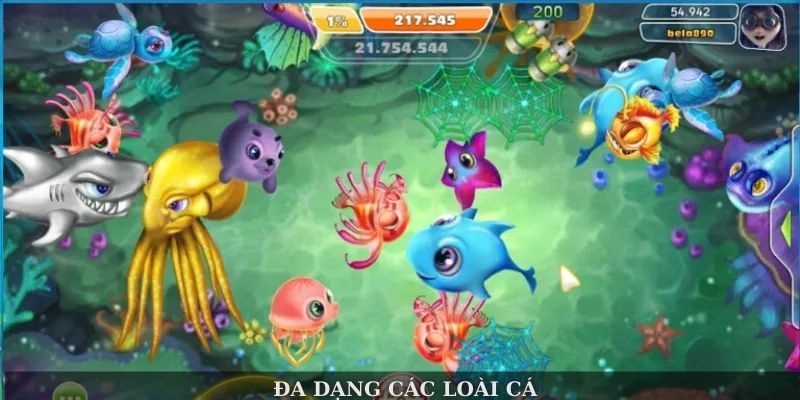 Đa dạng các loài cá