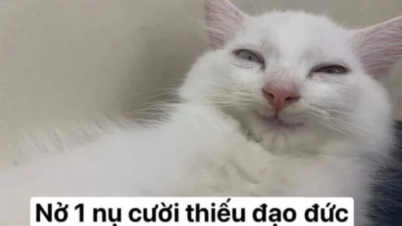 Mê cười với chế hài chế ảnh meme hài, xem xong vui cả ngày