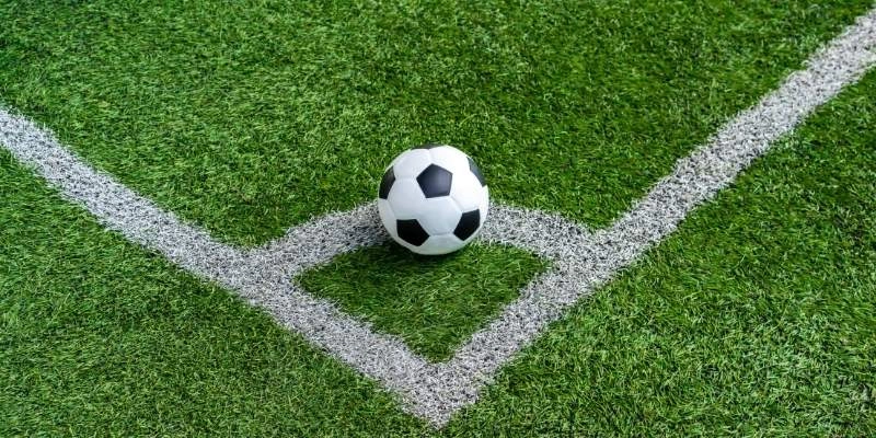 Bongdalu thiết kế bố cục thông minh, giúp người mới truy cập 