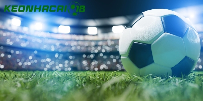 Đừng đặt cược theo cảm tính hay chạy theo số đông người chơi