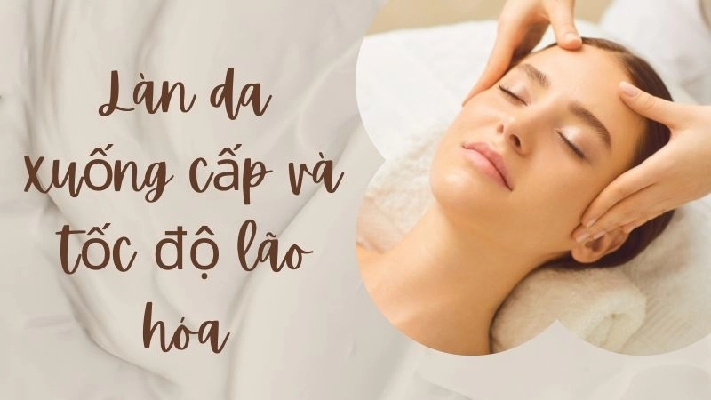 Làn da xuống cấp và tốc độ lão hóa nhanh chóng