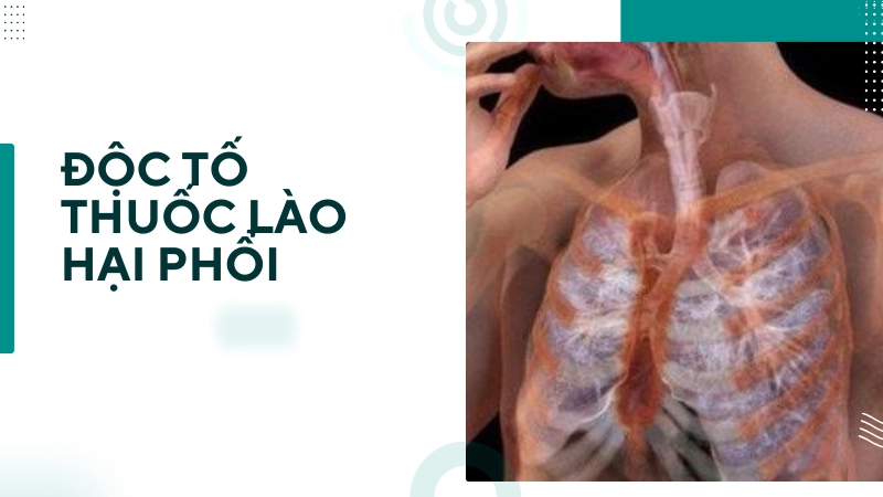 Độc tố trong khói thuốc lào tàn phá phổi nhanh thế nào