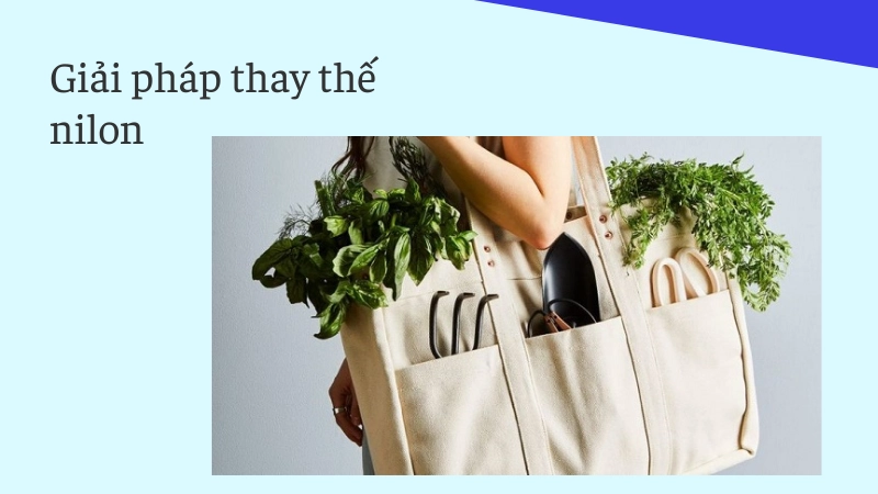 Giải pháp thay thế túi nilon bảo vệ môi trường bền vững