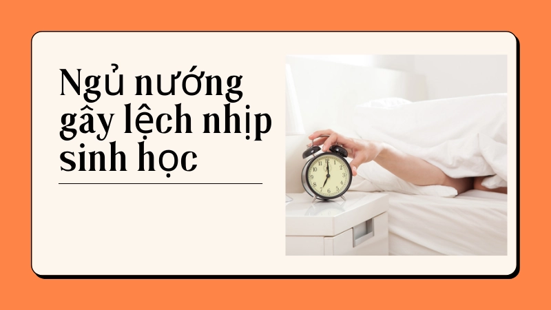 Nguy cơ béo phì khi duy trì ngủ nướng