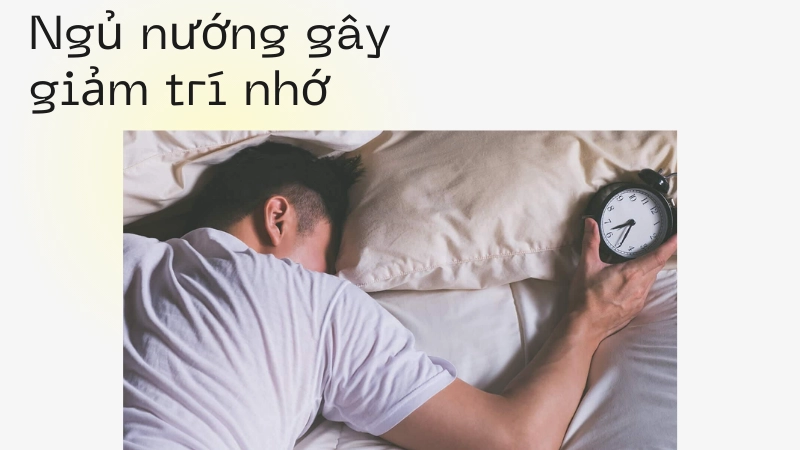 Suy giảm trí nhớ vì thói quen ngủ nướng