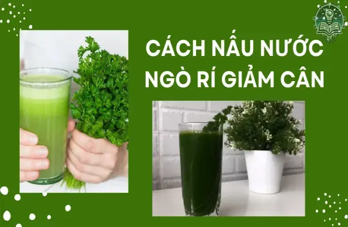 Cách nấu nước ngò rí uống giảm cân cho hiệu quả bất ngờ