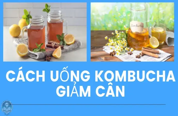 Cách uống kombucha giảm cân đúng cách để đạt hiệu quả tốt nhất