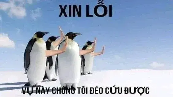 Sưu tầm ngay về máy bộ ảnh meme còn cứu được độc đáo và ấn tượng nhất