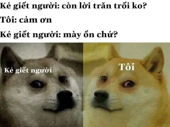 Top 50+ ảnh meme nhân văn hài hước, sâu sắc giúp bạn thư giãn