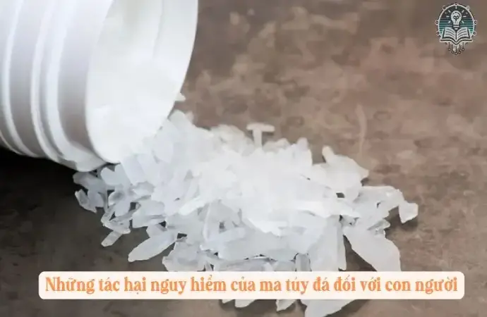 Những tác hại nguy hiểm của ma túy đá đối với con người