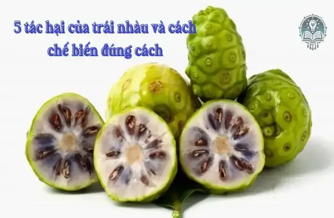 5 tác hại của trái nhàu và cách chế biến đúng cách