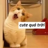 140+ Ảnh Meme Khen Độc Đáo Tôn Vinh Tài Năng Bạn