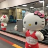 160+ Ảnh Mèo Vô Tri Hài Hước Cho Avatar Độc Đáo
