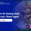 Bí quyết làm ốc hương cháy tỏi thơm ngon chuẩn vị nhà hàng
