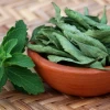 Cỏ ngọt: Tiềm năng và những tác hại tiềm ẩn cần biết