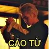 Khám Phá Bộ 30+ Ảnh Meme Cáo Từ Siêu Hài Hước
