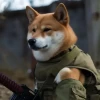 Khám phá thế giới meme chó Shiba cầm súng hài hước 2026