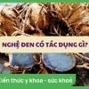 Nghệ đen: Tác hại và những điều cần biết trước khi sử dụng
