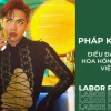 Pháp Kiều Là Ai? Hé Lộ Hành Trình Sự Nghiệp và Đời Tư