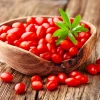 Tác hại của câu kỷ tử: Những điều cần biết để sử dụng an toàn