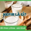 Tác hại của nấm kefir: Những điều cần biết trước khi sử dụng