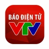 Tô Dũng là ai? Chủ tịch Xuân Cầu Holdings và VIWASEEN