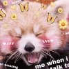 Tổng hợp 180+ Meme Tình Yêu Hài Hước, Dễ Thương Nhất 2026