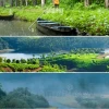 Understanding Kerala's Weather Patterns and Forecasts for 2026