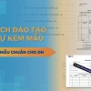 Cách xây dựng kế hoạch đào tạo nhân sự chuyên nghiệp bứt phá năm 2026