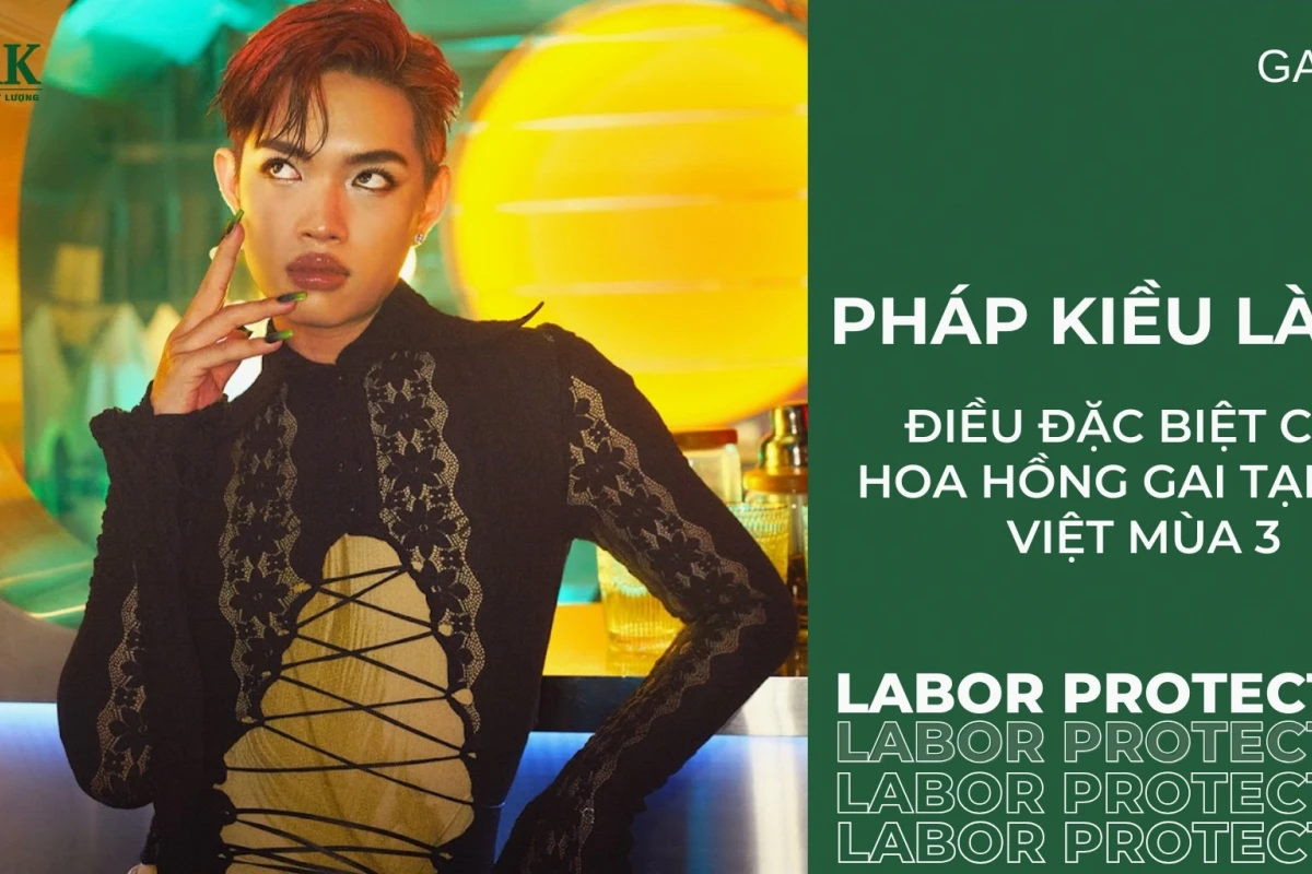 Pháp Kiều Là Ai? Hé Lộ Hành Trình Sự Nghiệp và Đời Tư
