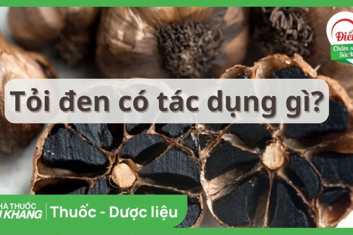Tác hại của tỏi đen: Những ảnh hưởng sức khỏe cần lưu ý