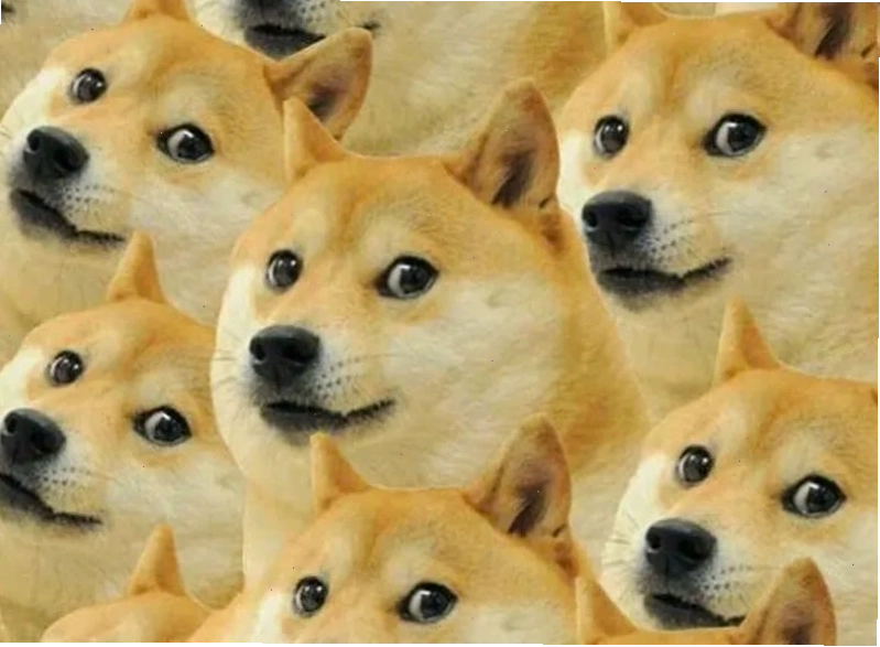 Ảnh meme chó Shiba với chiếc mõm giống biểu cảm của ếch