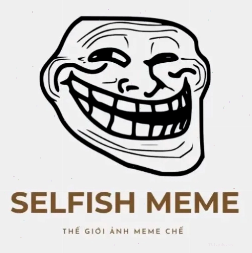 Ảnh meme độc đáo