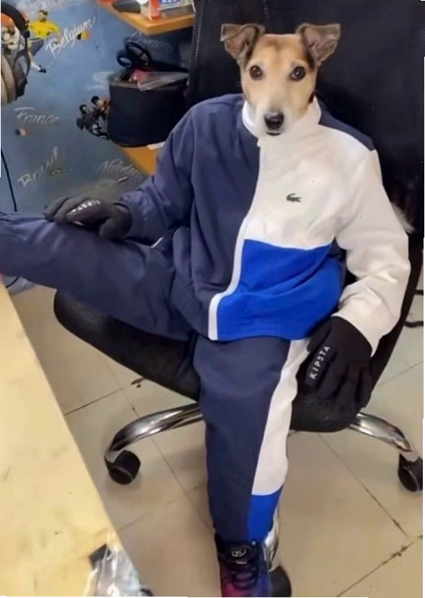 Ảnh Sigma Boy thể hiện sự bí ẩn và khó đoán