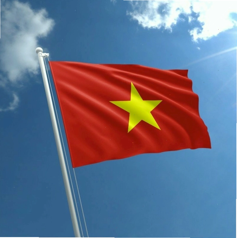 Avatar cờ Việt Nam thể hiện lòng tự hào dân tộc